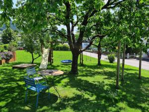 Vonkajšia záhrada v ubytovaní Bodensee-Ferienwohnung Am Ruggbach