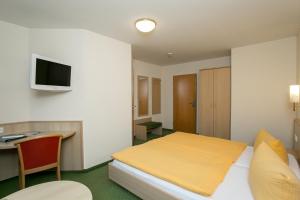 TV a/nebo společenská místnost v ubytování Hotel-Gasthaus Engel Luttingen