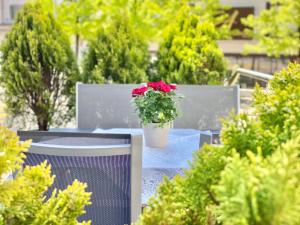 Fotografie z fotogalerie ubytování Hotel Hirschen Hinwil v destinaci Hinwil