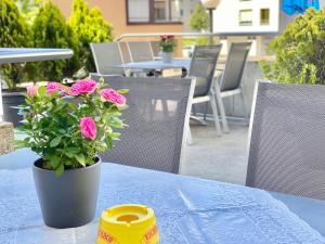Hinwil的住宿－Hotel Hirschen Hinwil，相簿中的一張相片
