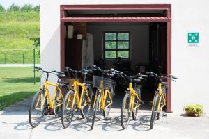 Jízda na kole v ubytování Hotel Passacor - Business & Bike nebo okolí