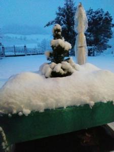 um banco coberto de neve com uma árvore coberta de neve em Cascina Torello em Dogliani