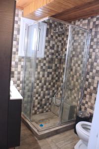 a shower stall in a bathroom with a toilet at Laoni Guest House in Moutoullas, Marathasa in Limassol +9 photos