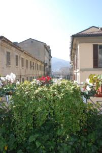 Vonkajšia záhrada v ubytovaní La Canarina Bed & Breakfast