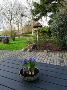 صورة لـ Grambo Bed & Breakfast في Tommerup