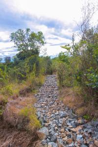 um caminho rochoso no meio de um campo em Mtoni Resort, Naro moru em Naro Moru