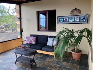 un salon avec un canapé bleu et une plante dans l'établissement Casa Cueva de las Palomas 2, à Las Manchas