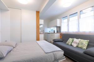 - une chambre avec un lit et un canapé dans l'établissement Le Studio, à Annecy