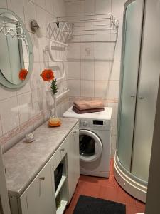 La salle de bains est pourvue d'un lave-linge et d'un miroir. dans l'établissement Riverside Apartment Pärnu, à Pärnu