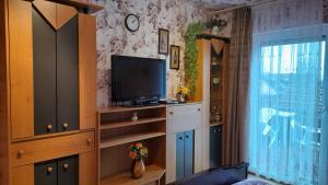 - un salon avec une télévision murale dans l'établissement Apartment Natali, à Öhringen