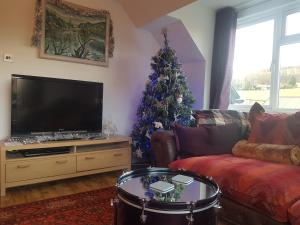 a living room with a christmas tree and a television at Beautiful 3-bed stone barn in idyllic Hawkshead in Hawkshead