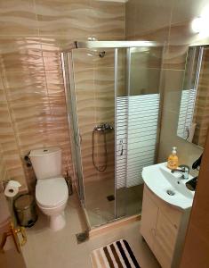 a bathroom with a shower and a toilet and a sink at Nicoll Apartments in Acharavi