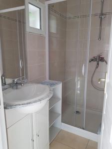 ein Bad mit einem Waschbecken und einer Dusche in der Unterkunft Chambres D'hôtes Anne-Marie in Châtillon-sur-Indre