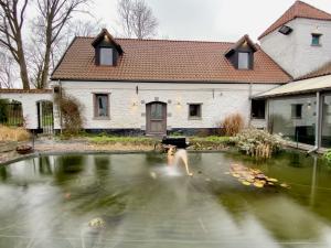 ein Haus mit einem Teich vor einem Haus in der Unterkunft Cense de Lalouette in Saint-Ghislain