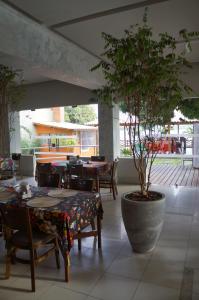 un árbol en maceta en un restaurante con mesas y sillas en Grande Hotel de Juazeiro, en Juazeiro