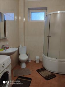 uma casa de banho com um chuveiro, um WC e um lavatório. em Apartments Domovik "Uyut" em Mukacheve
