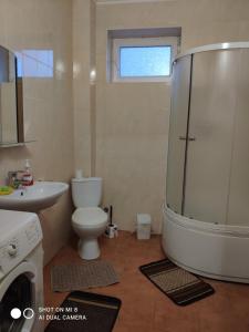 a bathroom with a shower and a toilet and a sink at Apartments Domovik Мостова 5 кв 44 in Mukacheve