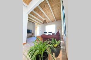 a living room with a couch and a plant at Fincas del Real in Colonia del Sacramento