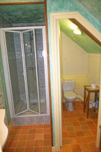 a bathroom with a toilet and a glass shower at Chambre d'hotes Au Vieux Moulin in Clohars-Carnoët