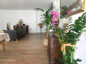 Fotografie z fotogalerie ubytování Hotel Galassi v destinaci Numana
