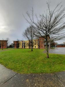 un campo con dos árboles frente a un edificio en Wild Atlantic Apartments Killarney, en Killarney