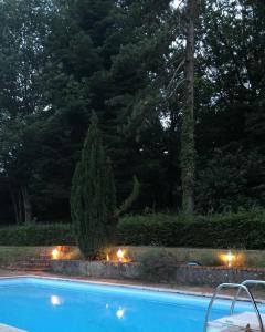 una piscina con luci accanto a una pineta di Chateau de Bonnevaux a Villeneuve-de-Marc