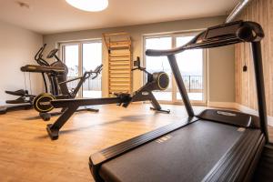 Fitness centrum a/nebo fitness zařízení v ubytování PAPA RHEIN - Hotel & Spa