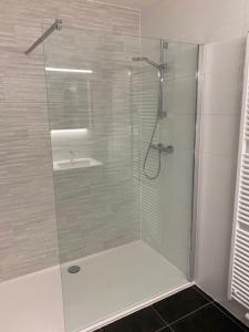 bagno con doccia e lavandino di Appartement Anne-Rose a Beernem