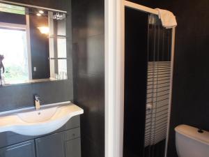a bathroom with a sink and a mirror and a shower at Hotel Restaurant Le Manguier in Peyrat-de-Bellac +55 photos