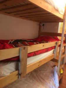 Двухъярусная кровать или двухъярусные кровати в номере Studio Valberg à quelques pas du centre
