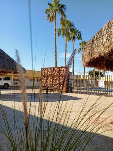 a volley ball court with palm trees and a fence at HOTEL POSADA DEL DESIERTO in Heroica Caborca