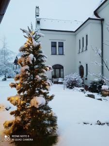 a christmas tree covered in snow in front of a house at Villa Liduška s kavárnou in Bechyně