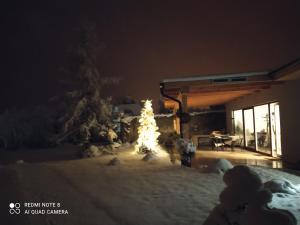 uma árvore de Natal na neve em frente a uma casa em Villa Liduška s kavárnou em Bechyně