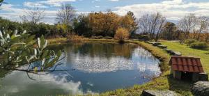 un estanque en medio de un parque con un banco en Hotel Rural El Camino en Candeleda