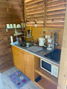 a kitchen with a counter with a sink and a microwave at An Ti Kaz La in Sainte-Anne