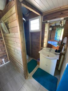 La petite salle de bains est pourvue d'un lavabo et de toilettes. dans l'établissement An Ti Kaz La, à Sainte-Anne