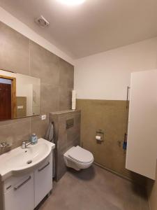 La salle de bains est pourvue de toilettes blanches et d'un lavabo. dans l'établissement Penzion u Buba, à Ostrov nad Oslavou