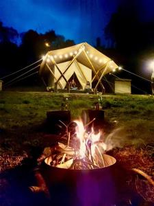 a fire pit in front of a tent at night at Glamping rio frio Tabio in Tabio