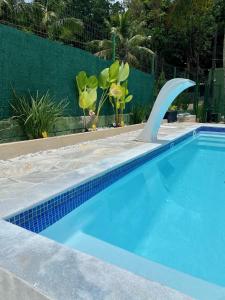 uma piscina com uma piscina em forma de golfinho num quintal em Ampla casa com piscina a 200 metros da praia do Lazaro e Sununga em Ubatuba