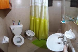 a bathroom with a toilet and a sink and a shower at Cabaña Paso a Paso in Tandil