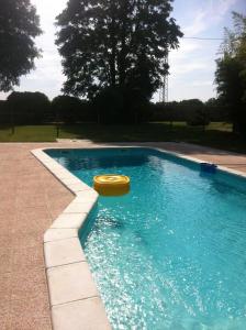 een zwembad met een gele frisbee in het water bij Agriturismo Al Casale in Codroipo