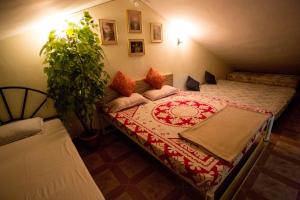 パナジにあるDarryl Ribeiro's 2BHK & 3BHK Apartment in a Villaのギャラリーの写真