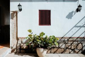 Foto sihtkohas Jincheng asuva majutusasutuse Live Guest House galeriist