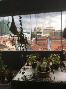 Balkón nebo terasa v ubytování Anderson Hotel