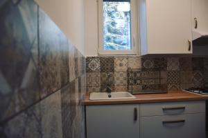 Kuchyňa alebo kuchynka v ubytovaní Pellegrini Apartman