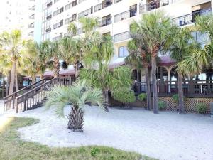a group of palm trees in front of a building at Newly Renovated Beachfront Studio Sun N Sand 1014 in Myrtle Beach