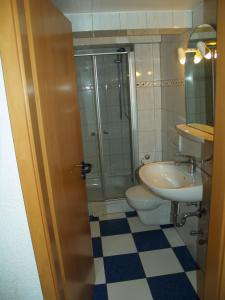 a bathroom with a shower and a toilet and a sink at Ferienhof Rustemeier in Altenberge