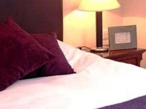 Una cama con una almohada roja y una lámpara sobre una mesa en The Swan Inn en Hanley Castle