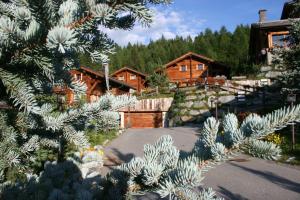 Zahrada ubytování Park Chalet Village
