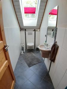 a bathroom with a toilet and a sink at Ferienwohnungen Leffer in Großheirath +12 photos